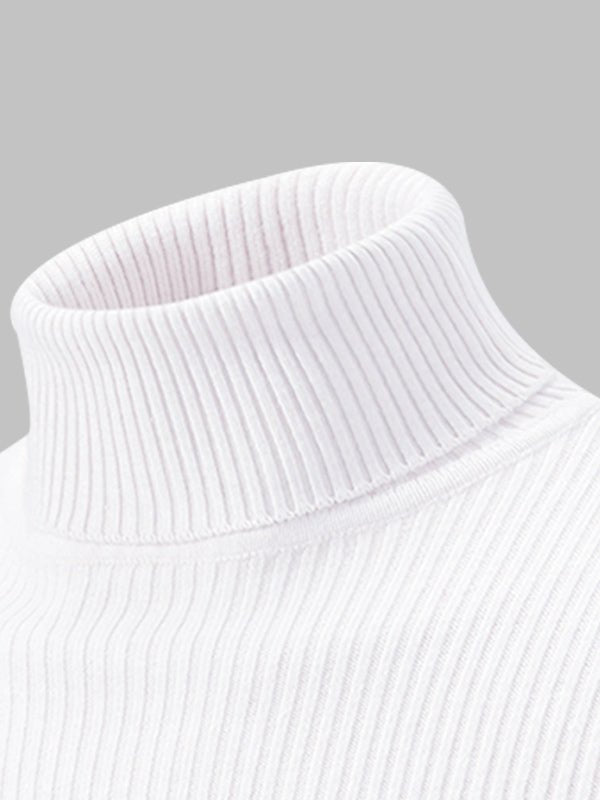 Men's Solid Color Striped Textured Turtleneck Sweater - Savile & Sage