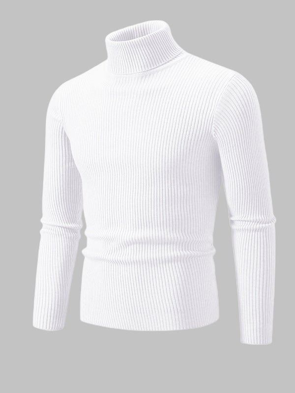 Men's Solid Color Striped Textured Turtleneck Sweater - Savile & Sage